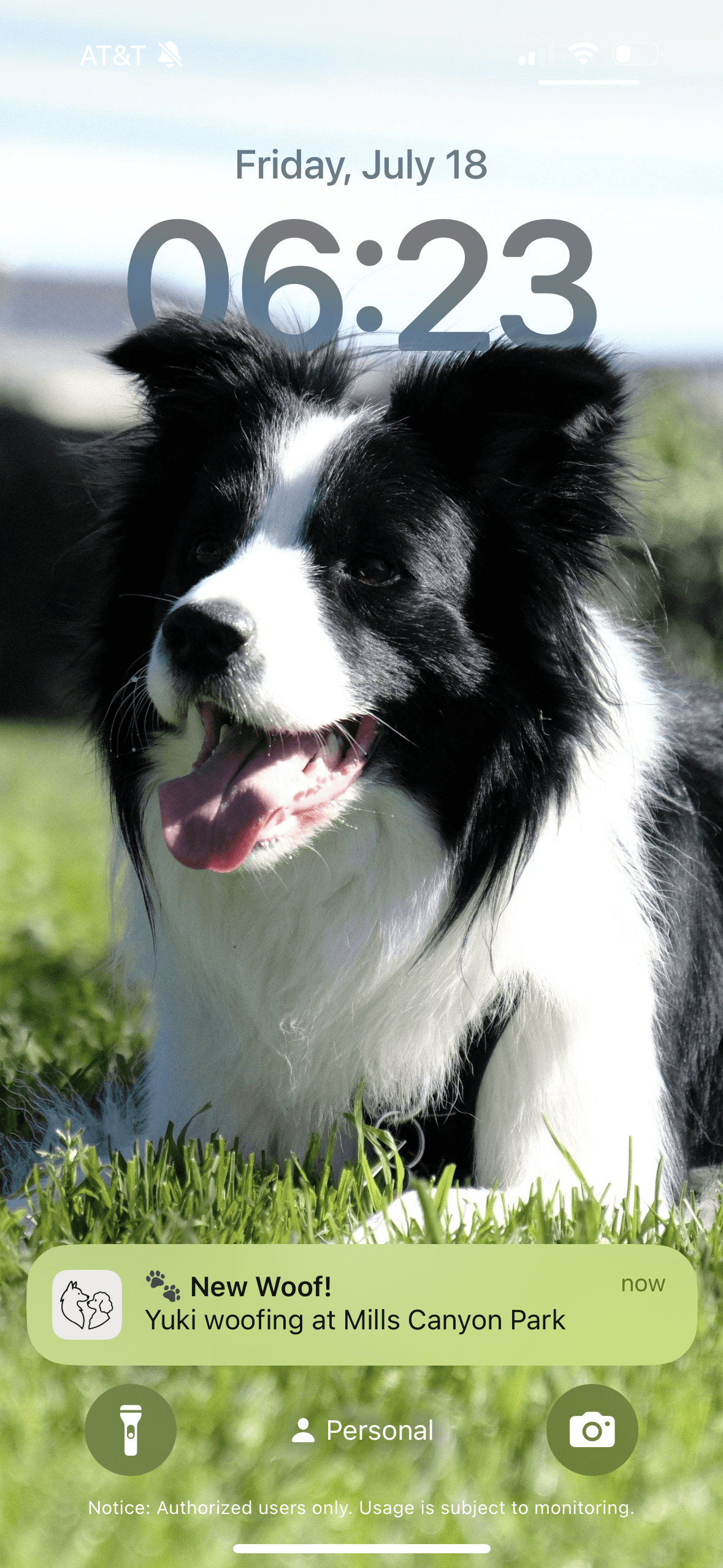 woof notification